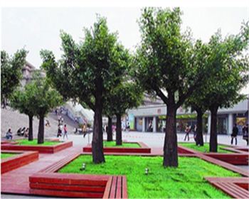 帶您了解成都仿真假樹如何制作的更仿真