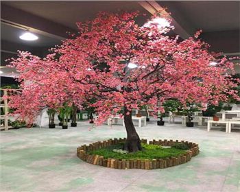 成都仿真假樹(shù)制作的要點(diǎn)都有哪些呢？